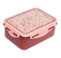 Petit Monkey Lunchbox Popsicles Desert Rose