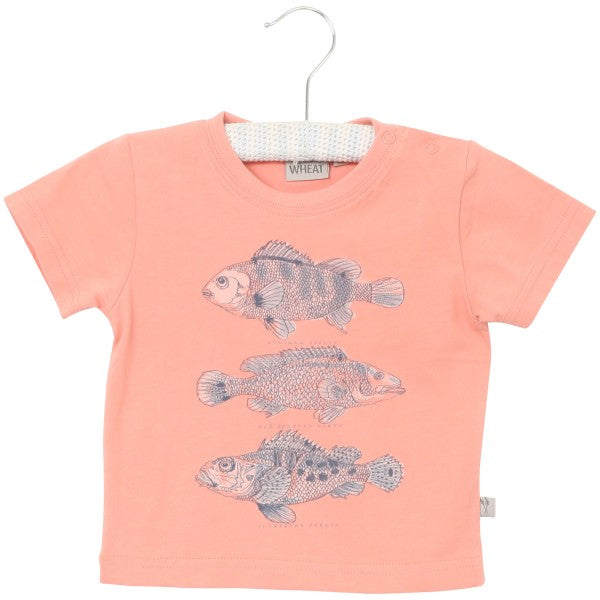 Wheat T-shirt Fish