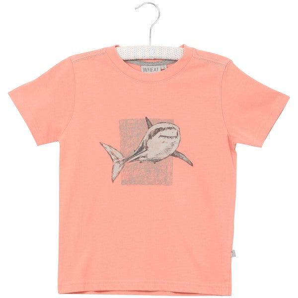 Wheat T-shirt Shark