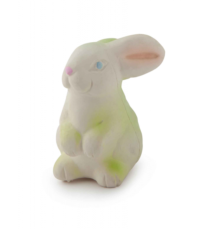 Oli & Carol Bob The Bunny