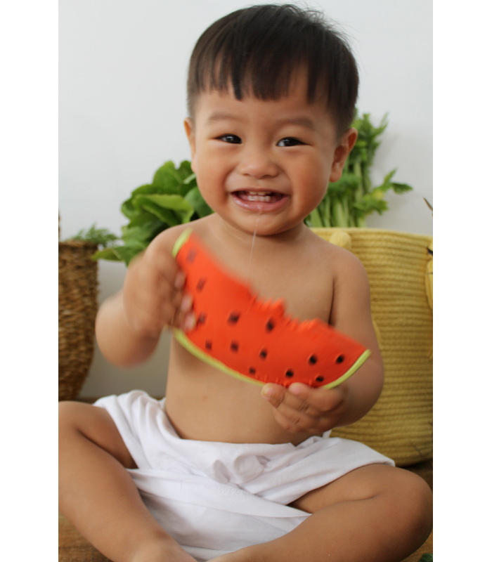 Oli & Carol Wally The Watermelon